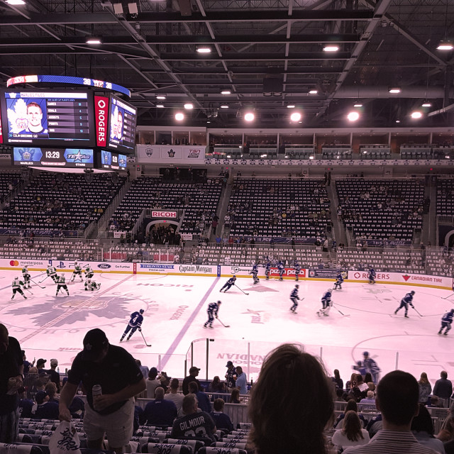 "Let's Go Marlies" stock image