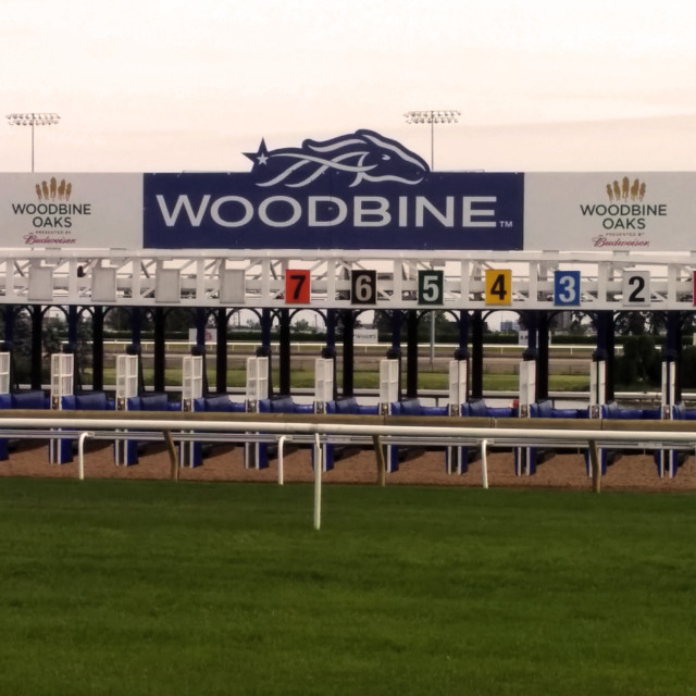 "Woodbine Racetrack" by Steve Harrison - $3.66 "Woodbine Racetrack" stock image