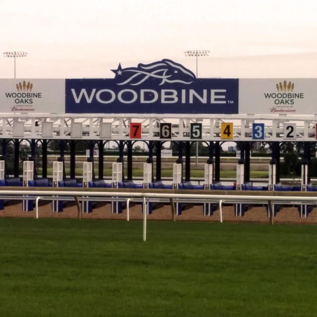 "Woodbine Racetrack" stock image