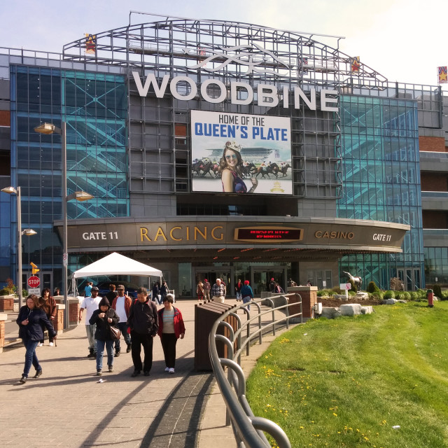 "Woodbine Racetrack" stock image