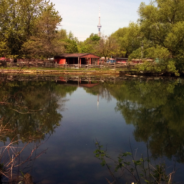 "Toronto Islands" stock image