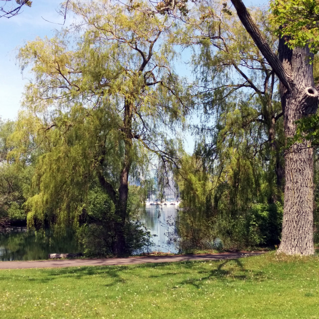 "Toronto Islands" stock image