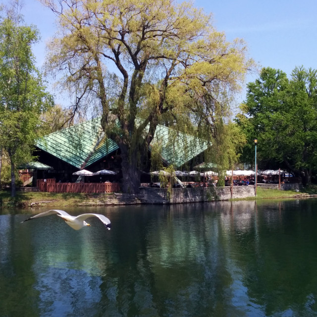 "Toronto Islands" stock image