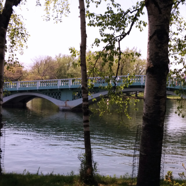 "Toronto Islands" stock image