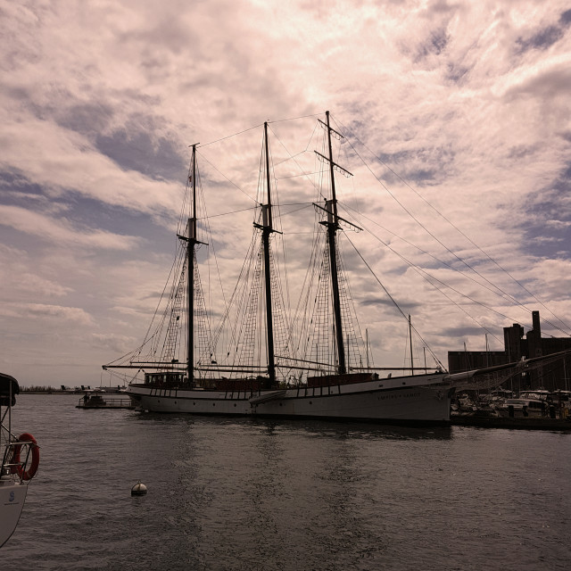 "Toronto Waterfront" stock image