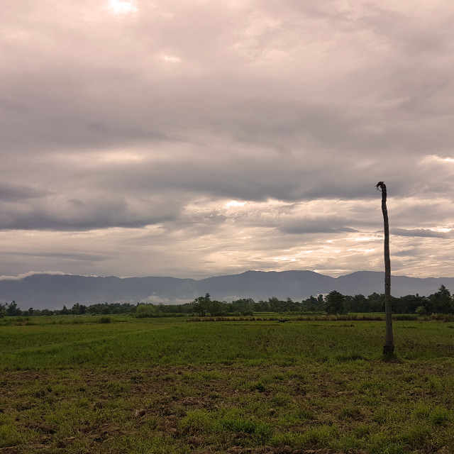 "Cloud Cover" stock image