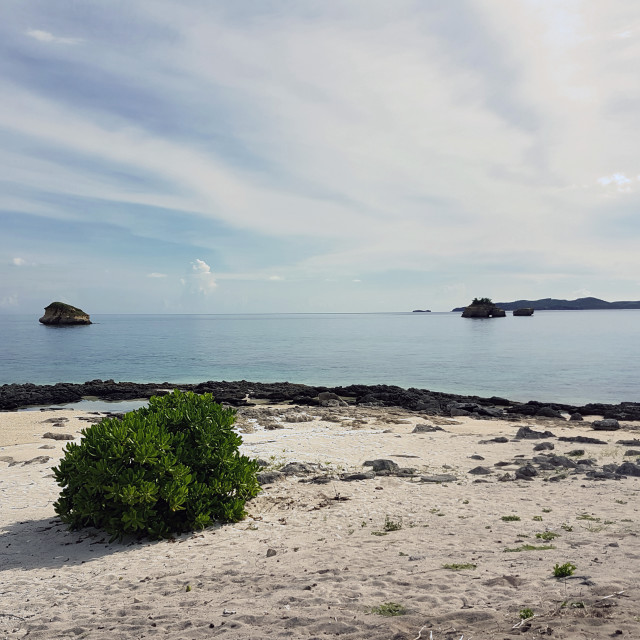 "Bay Watch" stock image