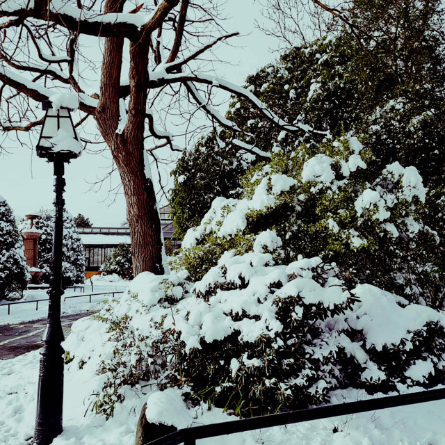 "A Winter Scene" stock image