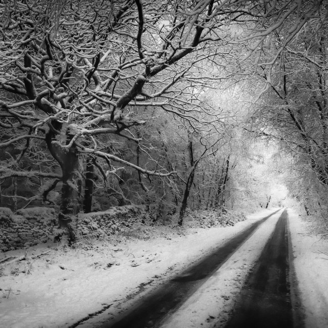 "Winter Road" by Andrew Gray Photography - £15.00 "Winter Road" stock image