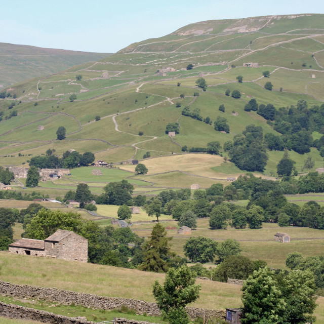 Upper Swaledale License, download or print for £10.00 Photos Picfair