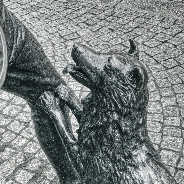 "A Faithful Friend" by Barry Whyte - £15.00 "A Faithful Friend" stock image