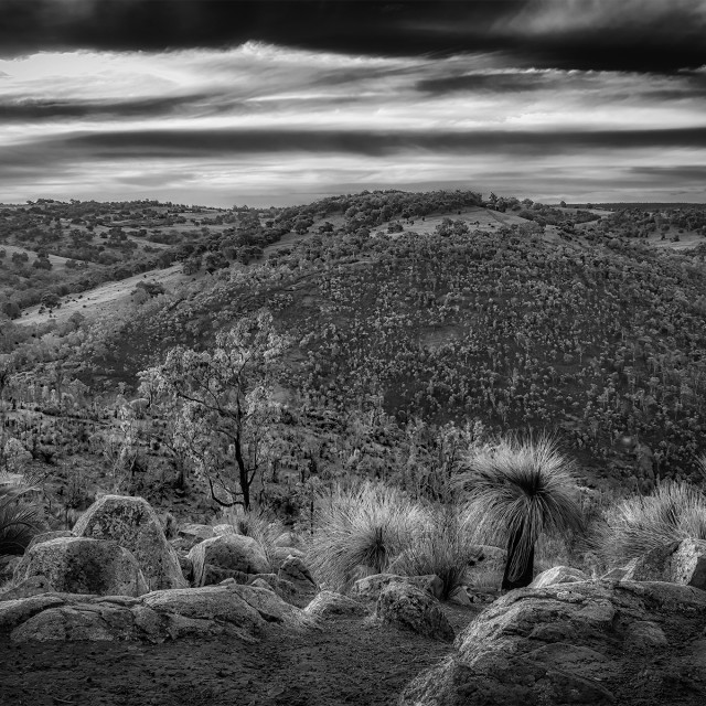 "Avon River Gorge" stock image