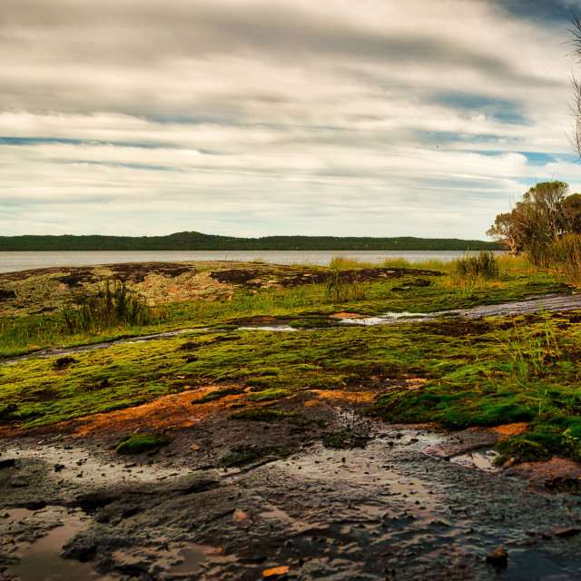 "Wilson's Inlet" stock image