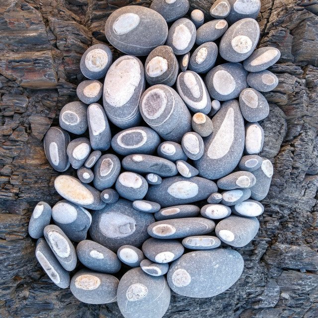 "Beach pebbles with white quartz circles on a rock" stock image