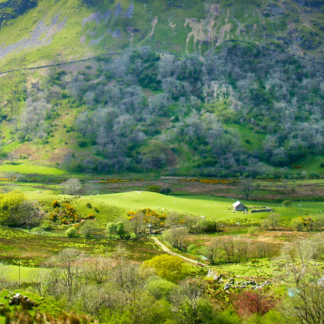 "Valley in Wales." stock image