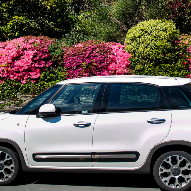 "Fiat 500L" stock image