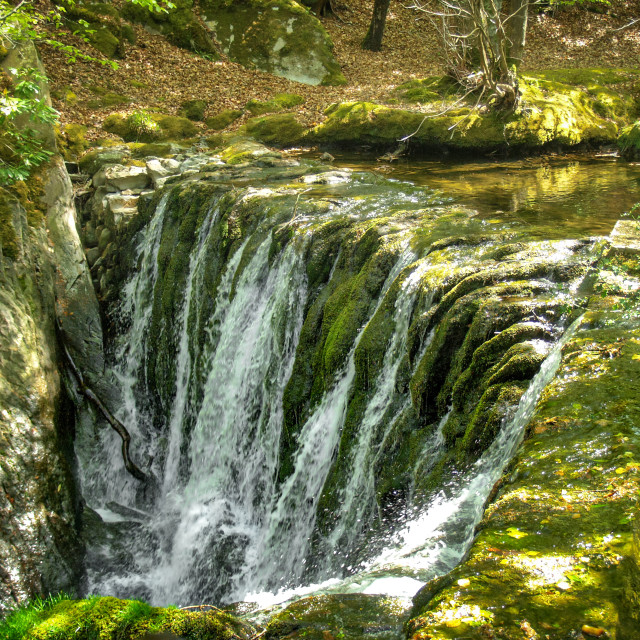 "Waterfall in the forest." stock image