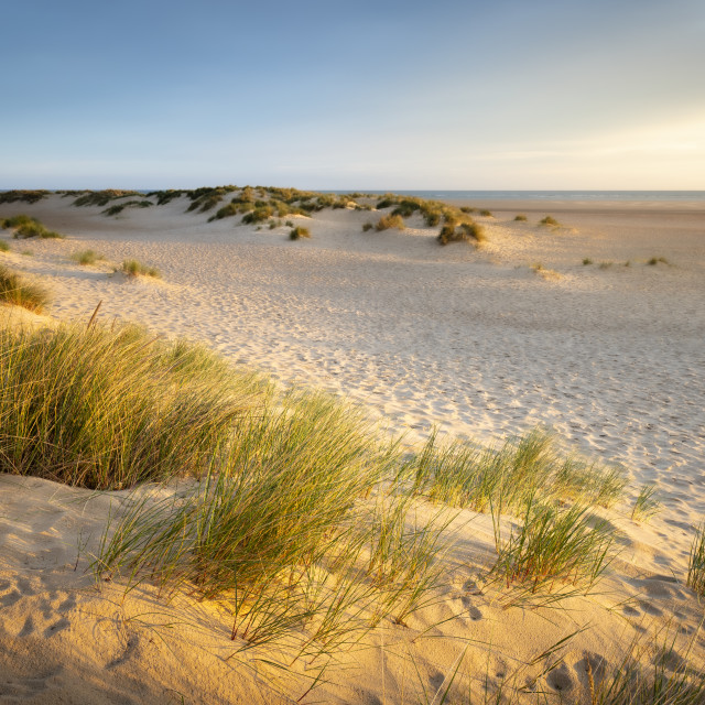 "Dune Light" stock image