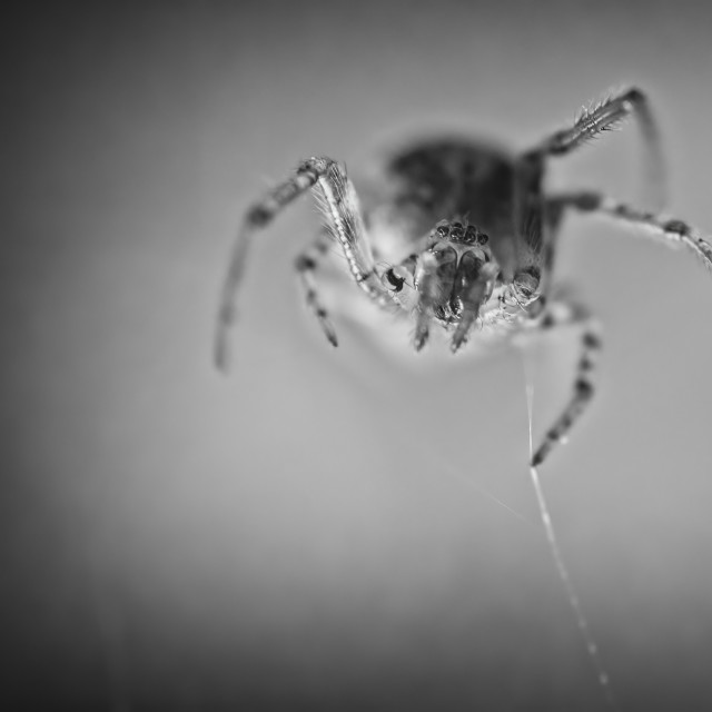 "Descending Devil" stock image