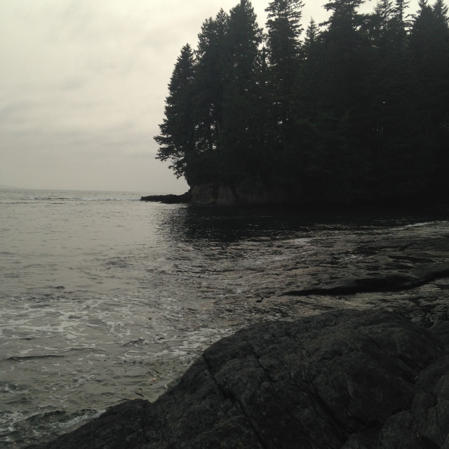 "Neah Bay, WA #2" by Aaron M Thompson PHOTO - $22.79 "Neah Bay, WA #2" stock image