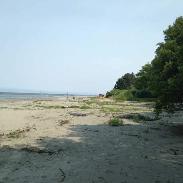 "Beach shot #2 Neah Bay, WA" stock image