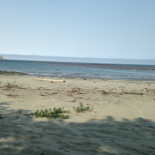 "Neah Bay beach shot #3" stock image