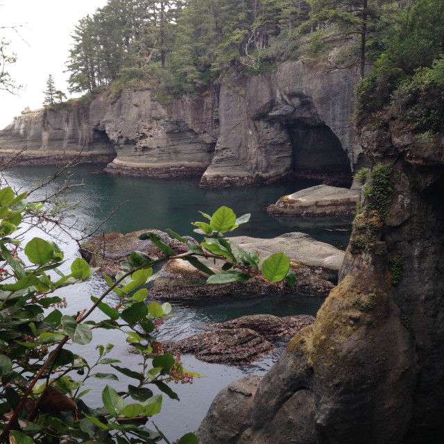 "Neah Bay Cove" stock image