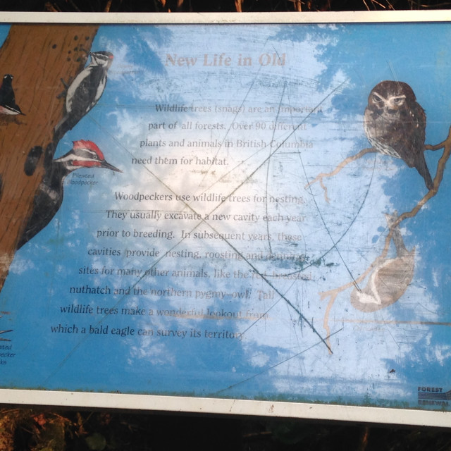 "Bird Habitat sign at Neah Bay,WA" stock image