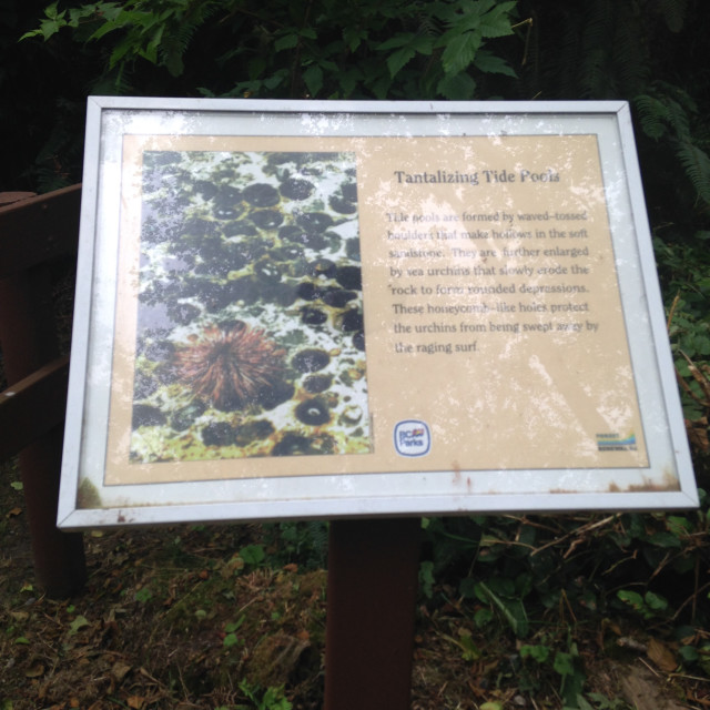 "Cape Flattery Trail sign" stock image