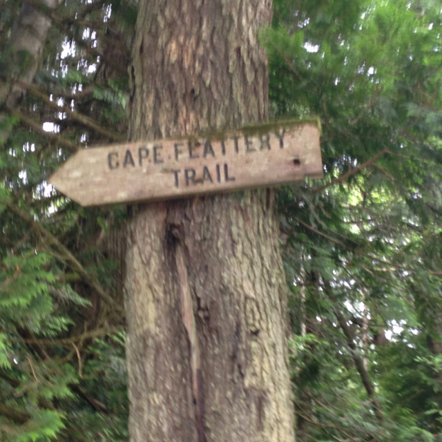 "Cape Flattery Trail Sign, Neah Bay, WA" stock image