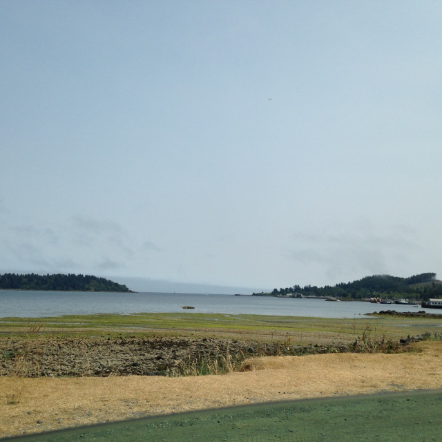 "Neah Bay, Washington" stock image