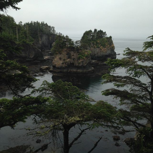 "Cape Flattery point" stock image