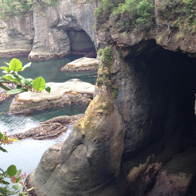 "Looking into the caves- Cape Flattery, WA" stock image