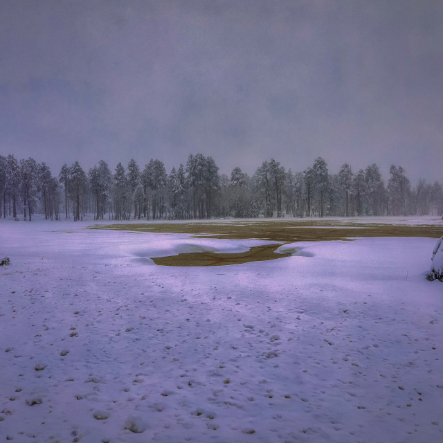 "mogollon rim-rim-snow-sunrise-arizona" by Chuck Taylor - £77.82 "mogollon rim-rim-snow-sunrise-arizona" stock image