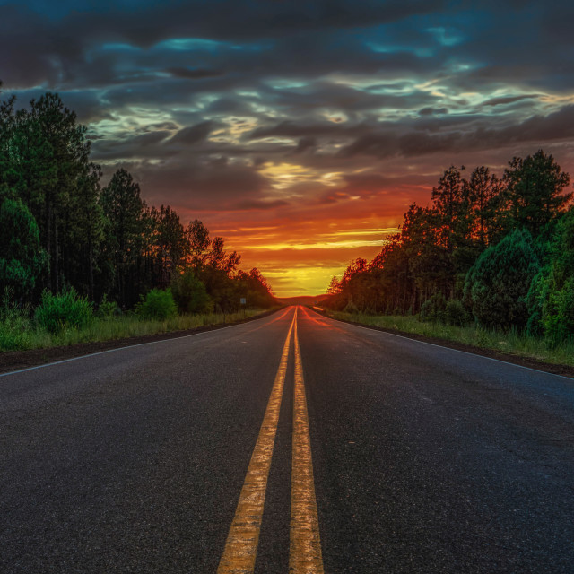 "road trip-national forest-sunrise-infinite" by Chuck Taylor - £77.82 "road trip-national forest-sunrise-infinite" stock image