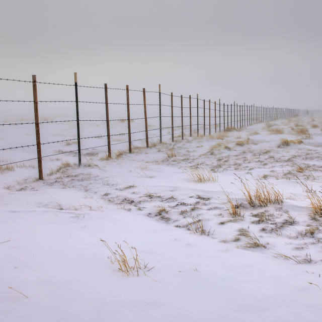 "snow storm-white out-sitgreaves national forest" by Chuck Taylor - £77.82 "snow storm-white out-sitgreaves national forest" stock image