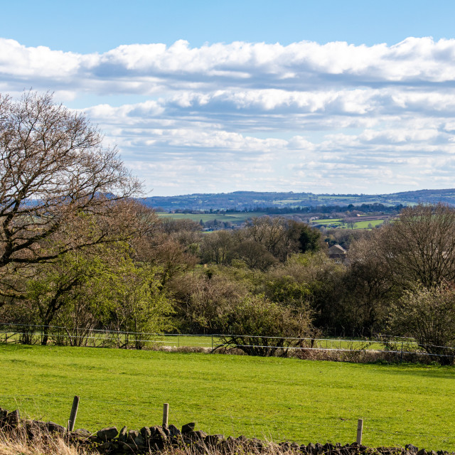 Derbyshire countryside in Spring License, download or print for £6.99