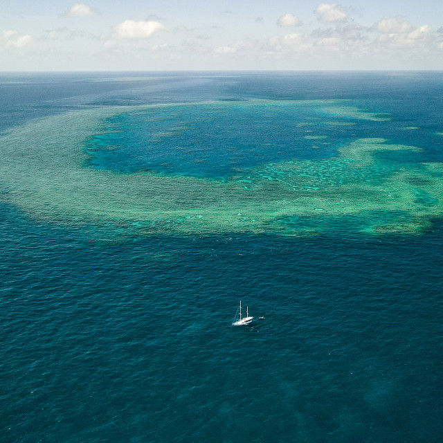 "Tiger Reef" by James Unsworth - £15.00 "Tiger Reef" stock image