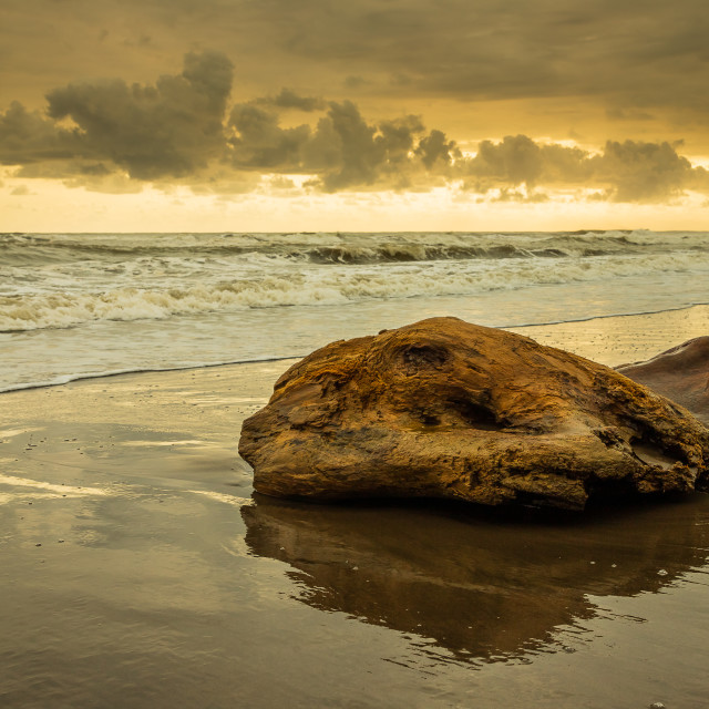 "Wood in a beach" by Expvisual Filmmaking and Photography SAS de CV - $3.63 "Wood in a beach" stock image