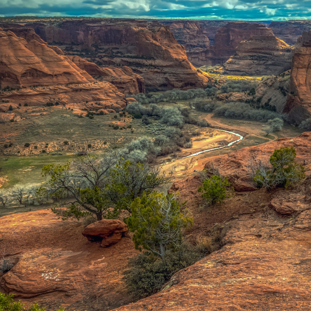 "travel-painted-desert-arizona" by Chuck Taylor - £77.82 "travel-painted-desert-arizona" stock image