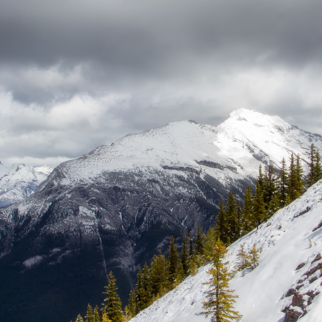 "Sulphur Mountain" by Wes Schulstad - £16.00 "Sulphur Mountain" stock image