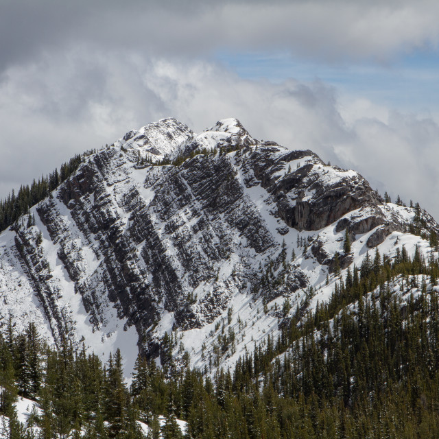 "Sulphur Mountain" by Wes Schulstad - £16.00 "Sulphur Mountain" stock image