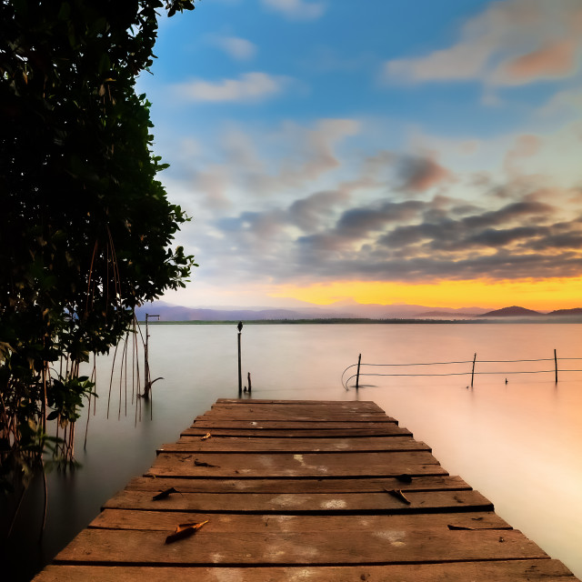 "Creek and dawn in mangrove" by Expvisual Filmmaking and Photography SAS de CV - $24.69 "Creek and dawn in mangrove" stock image