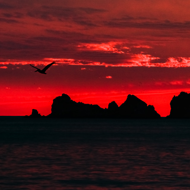 "Ixtapa Island in dusk" by Expvisual Filmmaking and Photography SAS de CV - $3.62 "Ixtapa Island in dusk" stock image