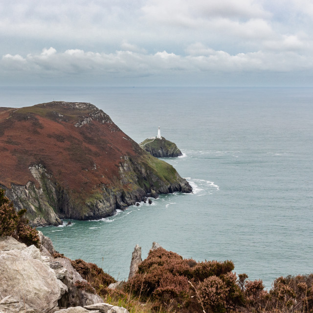 "South Stack Lighthouse (1)" stock image