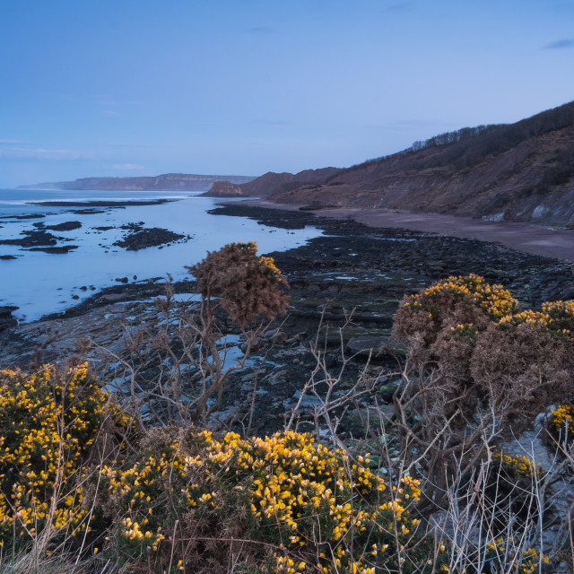 "Dusk at Cornelian Bay" stock image