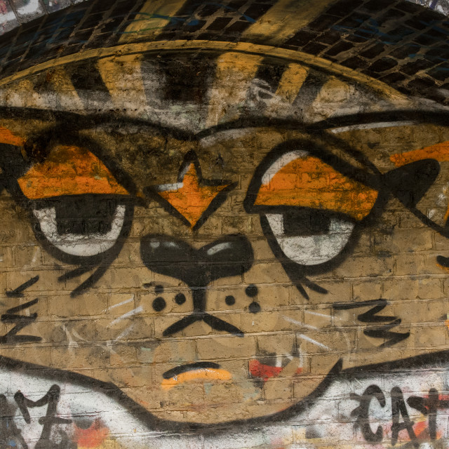"Graffiti Cat" by Bobb Strongman - £20.00 "Graffiti Cat" stock image
