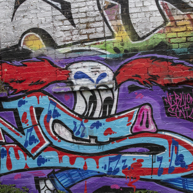 Graffiti Clown License Download Or Print For 00 Photos Picfair