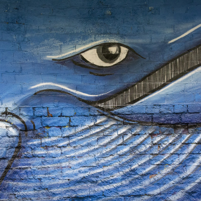 "Blue Whale Graffiti" by Bobb Strongman - £20.00 "Blue Whale Graffiti" stock image