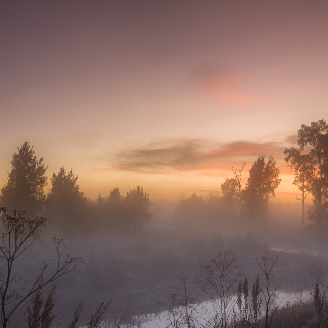 "Dawn in Dunkeld" by Wes Schulstad - £16.00 "Dawn in Dunkeld" stock image